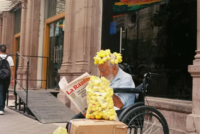 Hombre en silla de ruedas leyendo el periódico junto a una bolsa de pollitos amarillos