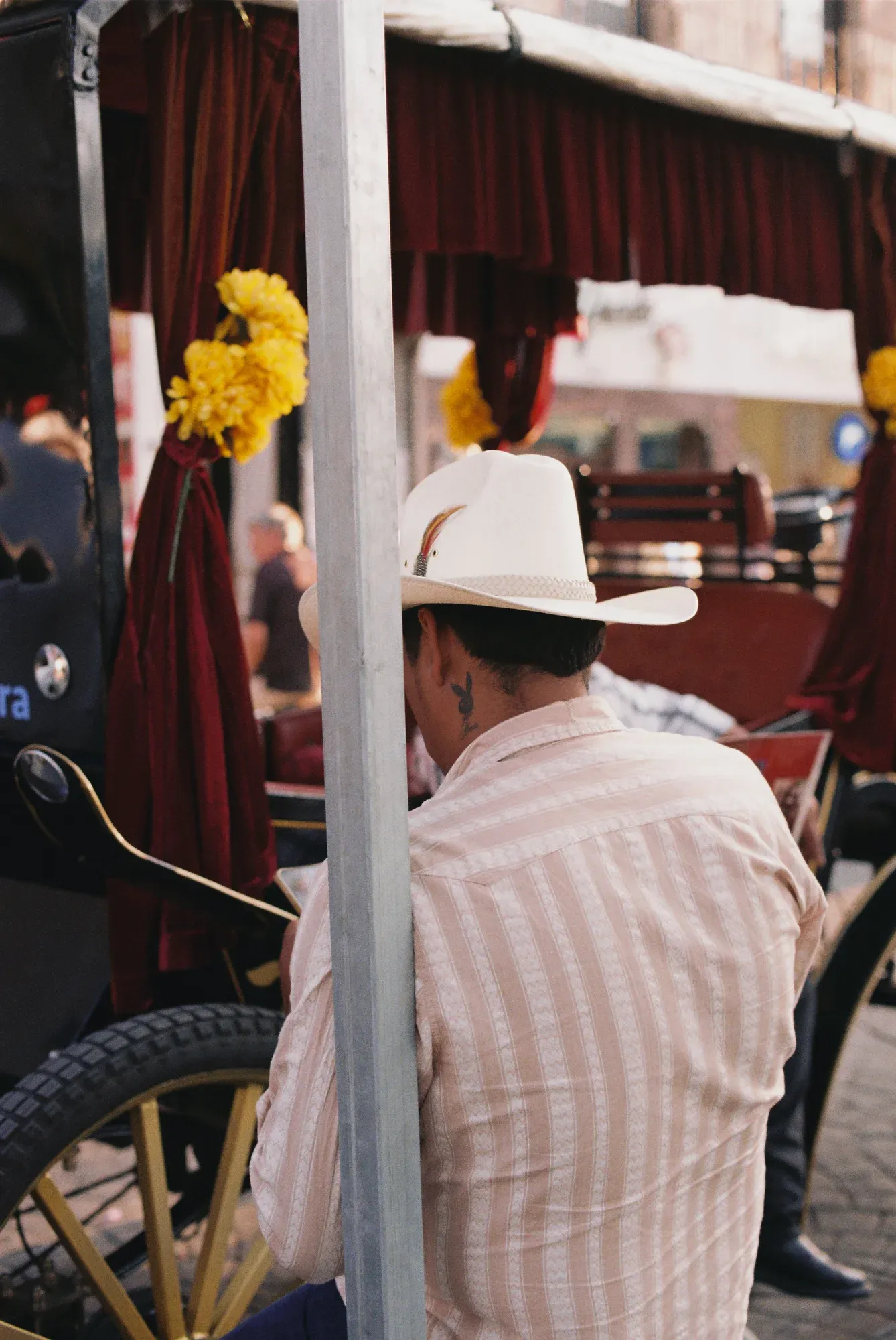 Hombre de espaldas con sombrero blanco frente a una calandria adornada con flores amarillas
